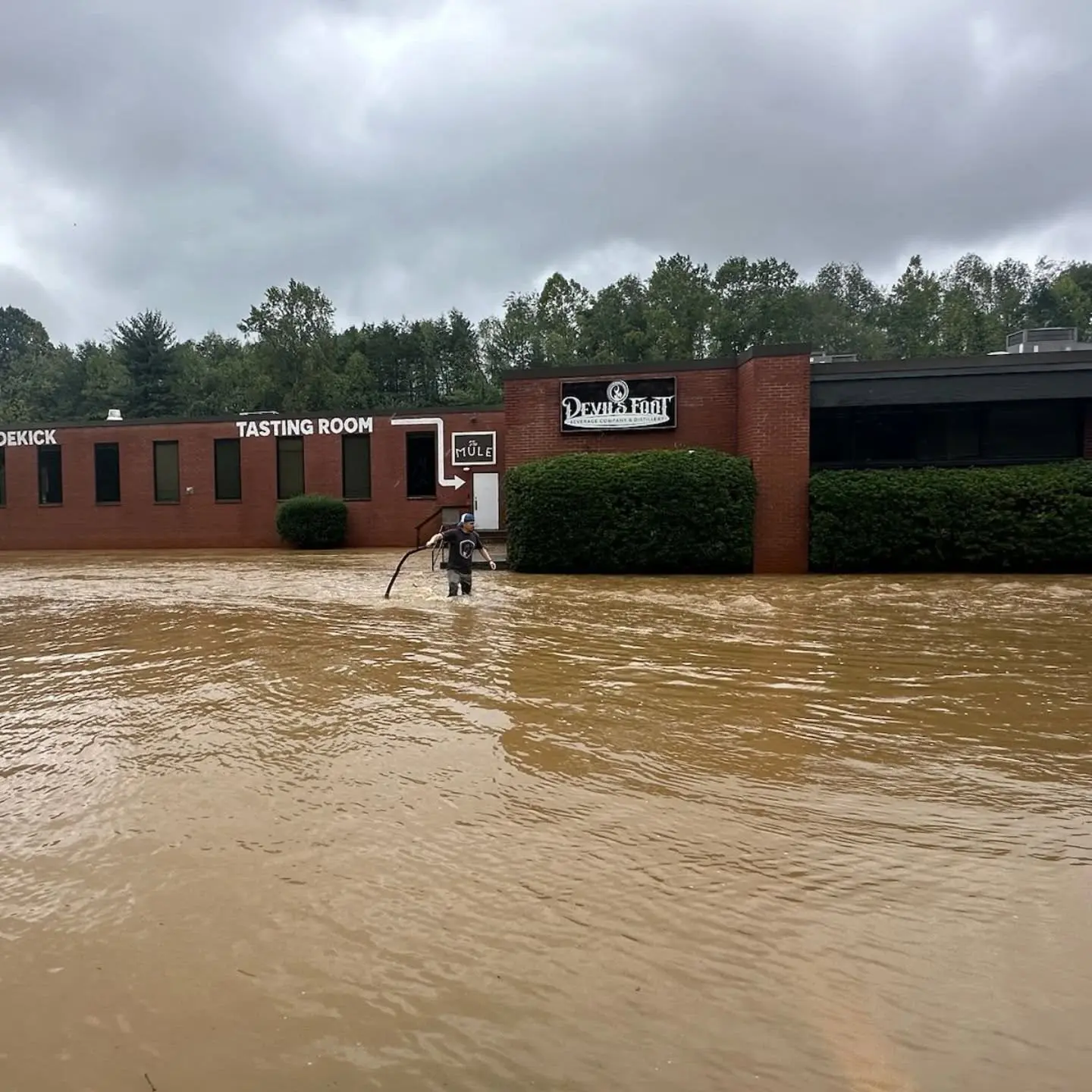 Devil's Foot Beverage Company during Hurricane Helene flooding, Buncombe County, NC