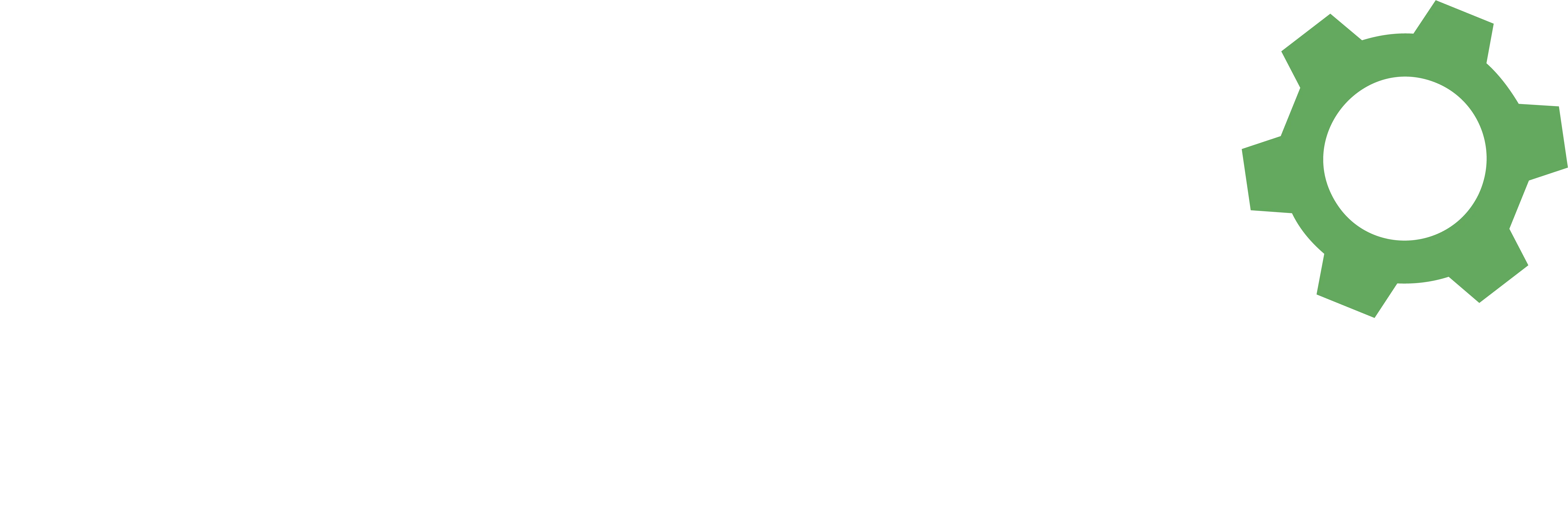 Mountain BizWorks logo